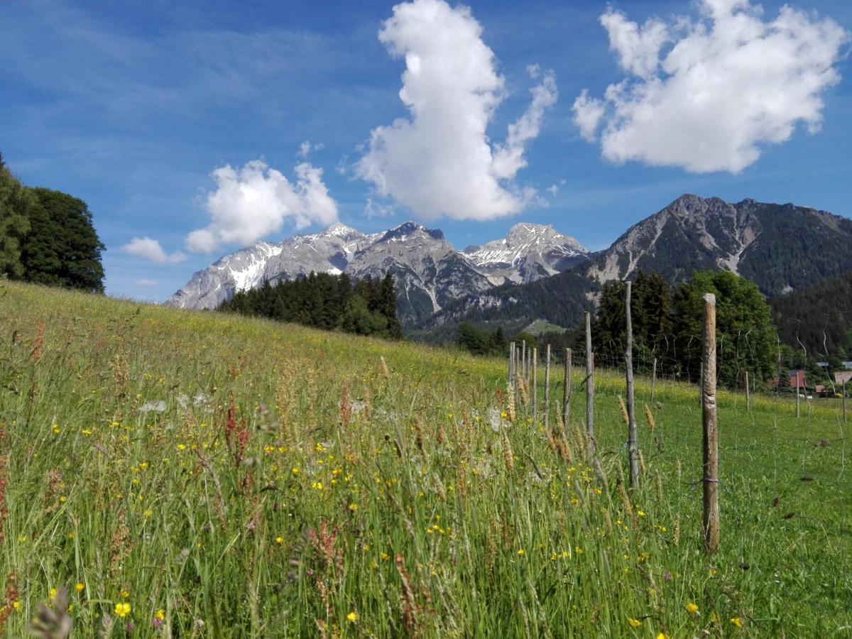 Haslehnerhof Villa Ramsau am Dachstein Buitenkant foto