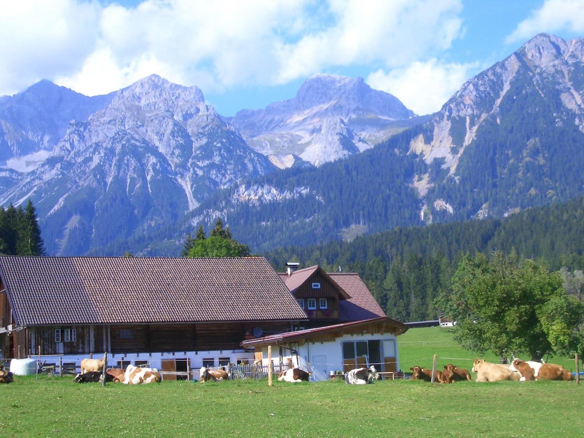 Haslehnerhof Villa Ramsau am Dachstein Buitenkant foto